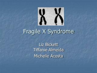 Fragile X Syndrome