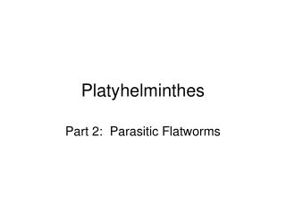 Platyhelminthes