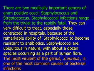 Staphylococci &amp; Streptococci are non motile &amp; do not form spores.