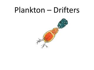 Plankton – Drifters
