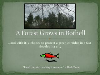 A Forest Grows in Bothell