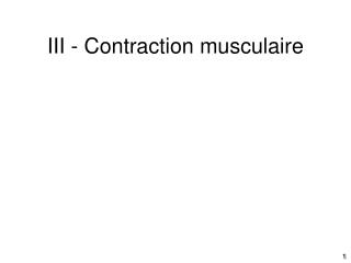 III - Contraction musculaire