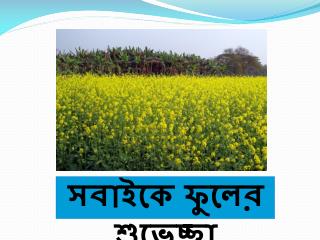 সবাইকে ফুলের শুভেচ্ছা