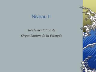 Niveau II