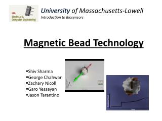 Magnetic Bead Technology