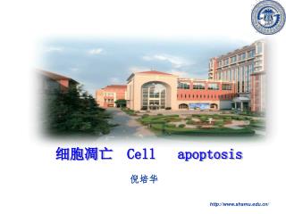 细胞凋亡 Cell apoptosis