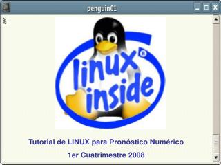 Tutorial de LINUX para Pronóstico Numérico 1er Cuatrimestre 2008