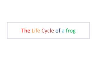 The Life Cycle of a frog