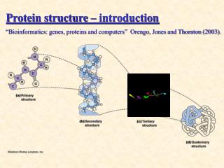 Protein structure – introduction