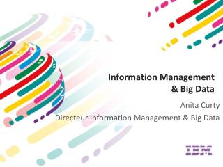 Information Management &amp; Big Data