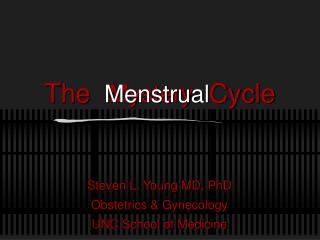 The Cycle