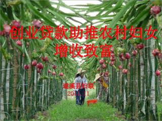 创业贷款助推农村妇女 增收致富