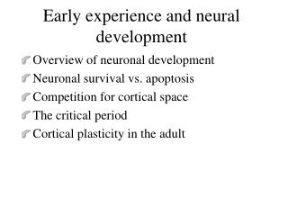 Early experience and neural development