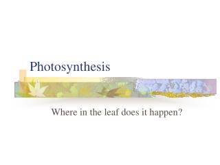 Photosynthesis