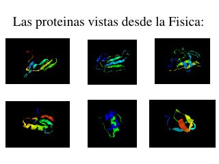 Las proteinas vistas desde la Fisica: