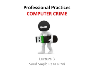 Professional Practices COMPUTER CRIME