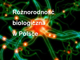 Różnorodność biologiczna w Polsce