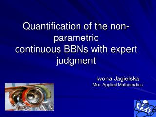 Quantification of the non- parametric continuous BBNs with expert judgment