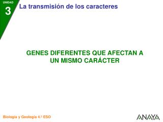 02_4BG_03_GENES_DIF_MISMO_CARACTER