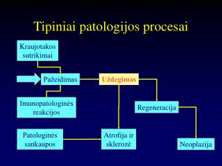 Tipiniai patologijos procesai