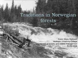 Traditions in Norwegian forests