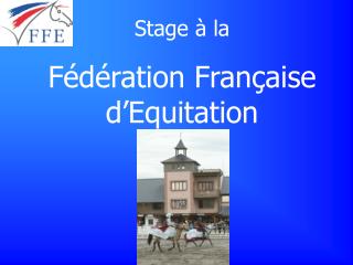 Stage à la Fédération Française d’Equitation