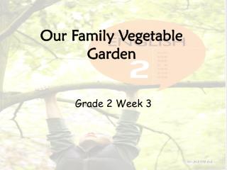 Our Family Vegetable Garden