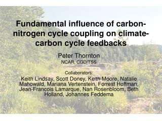 Fundamental influence of carbon-nitrogen cycle coupling on climate-carbon cycle feedbacks