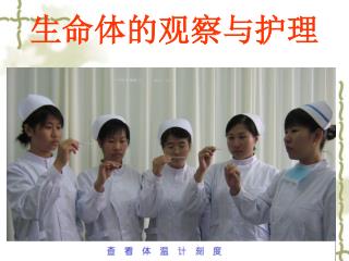 生命体的观察与护理