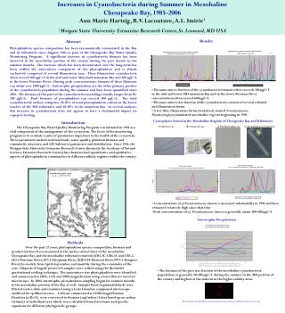 Increases in Cyanobacteria during Summer in Mesohaline