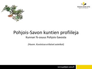 profiilit_joulukuu2012_kunnittain