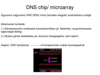 DNS chip/ microarray