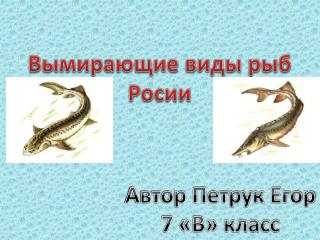 Вымирающие виды рыб Росии