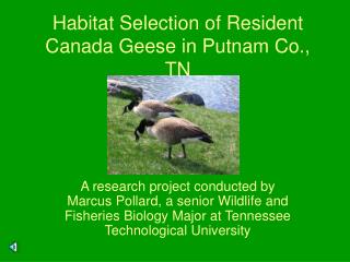 Habitat Selection of Resident Canada Geese in Putnam Co., TN