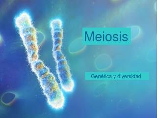 Meiosis