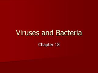 Viruses and Bacteria