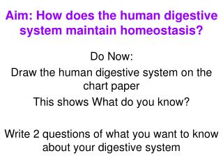 Aim: How does the human digestive system maintain homeostasis?