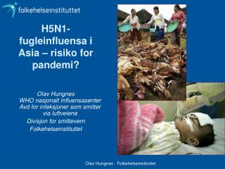 H5N1-fugleinfluensa i Asia – risiko for pandemi?