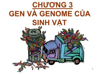 CHƯƠNG 3 GEN VÀ GENOME CỦA SINH VẬT