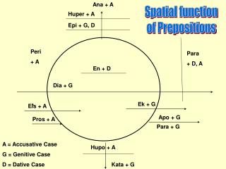 Spatial function of Prepositions