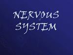 NERVOUS SYSTEM