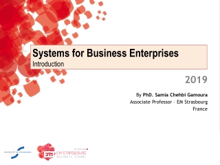 Systems for Business Enterprises Introduction