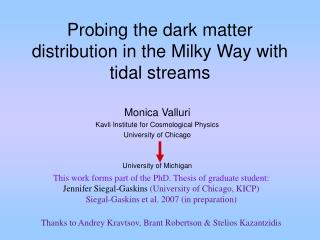 Probing the dark matter distribution in the Milky Way with tidal streams