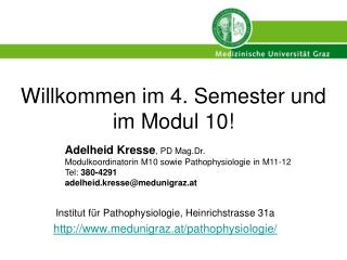 Willkommen im 4. Semester und im Modul 10!