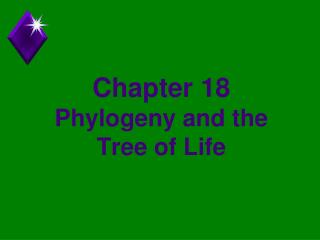 Chapter 18 Phylogeny and the Tree of Life