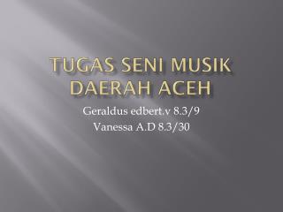 Tugas seni musik daerah aceh