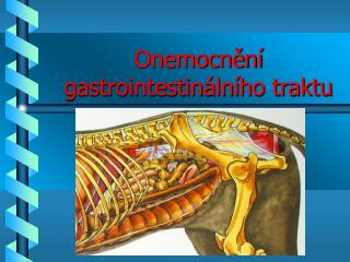 Onemocnění gastrointestinálního traktu