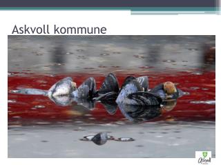 Askvoll kommune