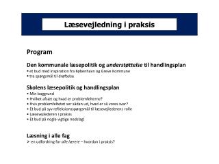 Læsevejledning i praksis