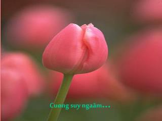 Cuøng suy ngaãm ...